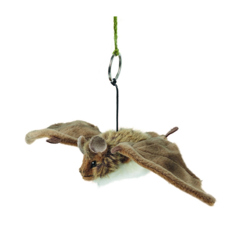Living nature - Bat Small