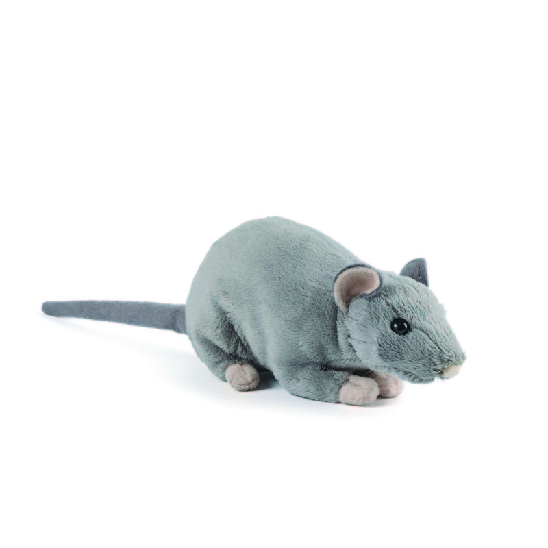 Living nature - Rat with Squeak