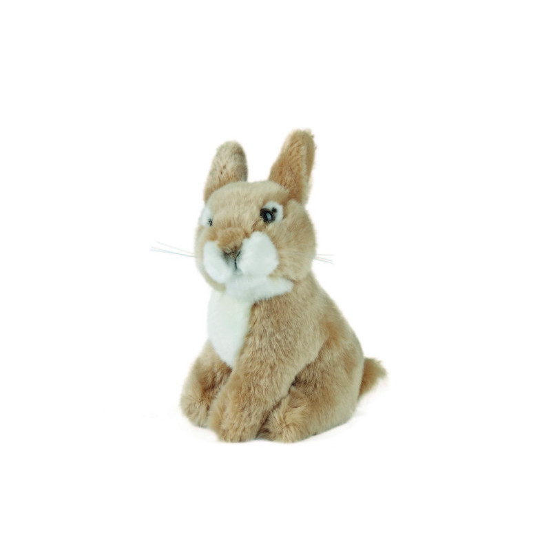 Living nature - Sitting Baby Rabbit