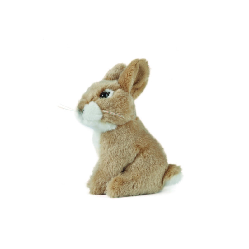 Living nature - Sitting Baby Rabbit