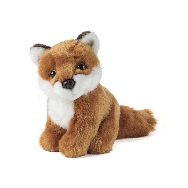 Living nature - Sitting Fox