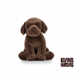 Living nature - Chocolate Labrador Puppy