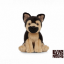 Living nature - German Shepherd Puppy