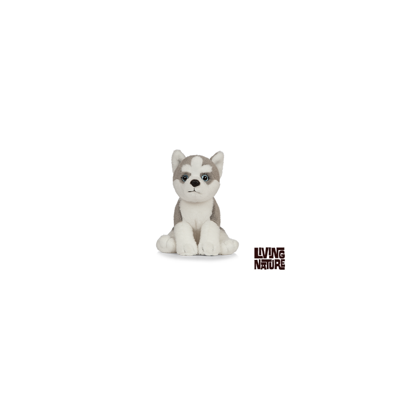 Living nature - Husky Puppy