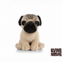 Living nature - Pug Puppy