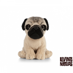 Living nature - Pug Puppy
