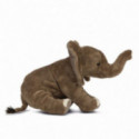 Living nature - Floppy Elephant