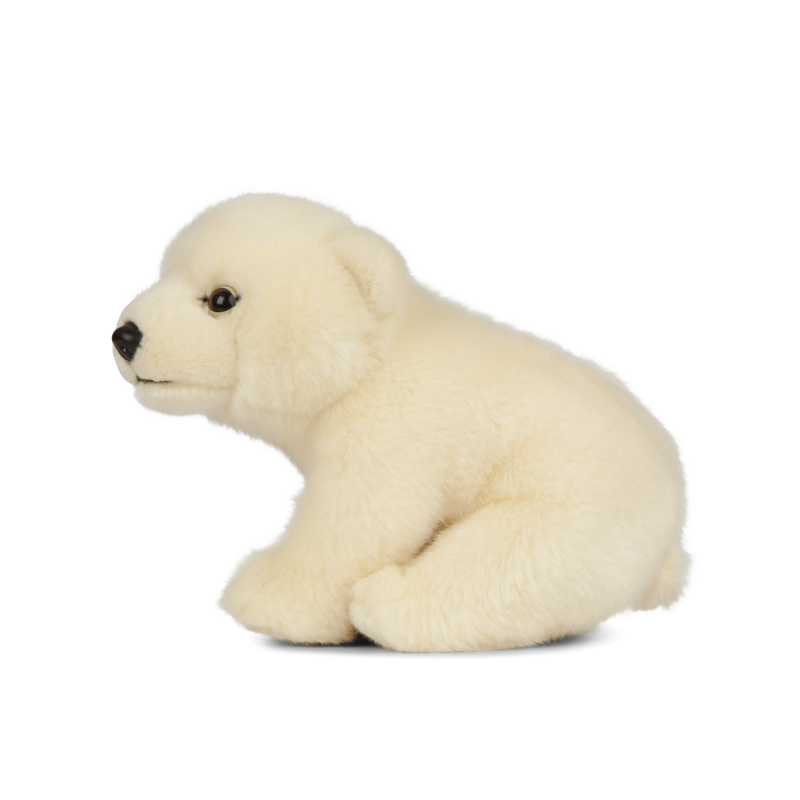 Living nature - Polar Bear Cub Sitting