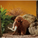 Living nature - Woolly Mammoth Medium