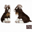 Living nature - Brown Goat Sitting