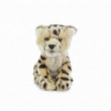 Living nature - Cheetah Cub