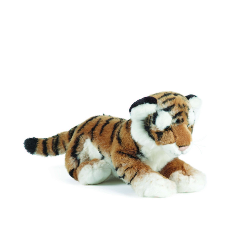 Living nature - Tiger Cub