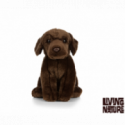 Living nature - Chocolate Labrador