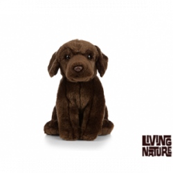 Living nature - Chocolate Labrador