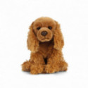 Living nature - Cocker Spaniel