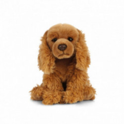 Living nature - Cocker Spaniel