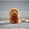 Living nature - Cocker Spaniel