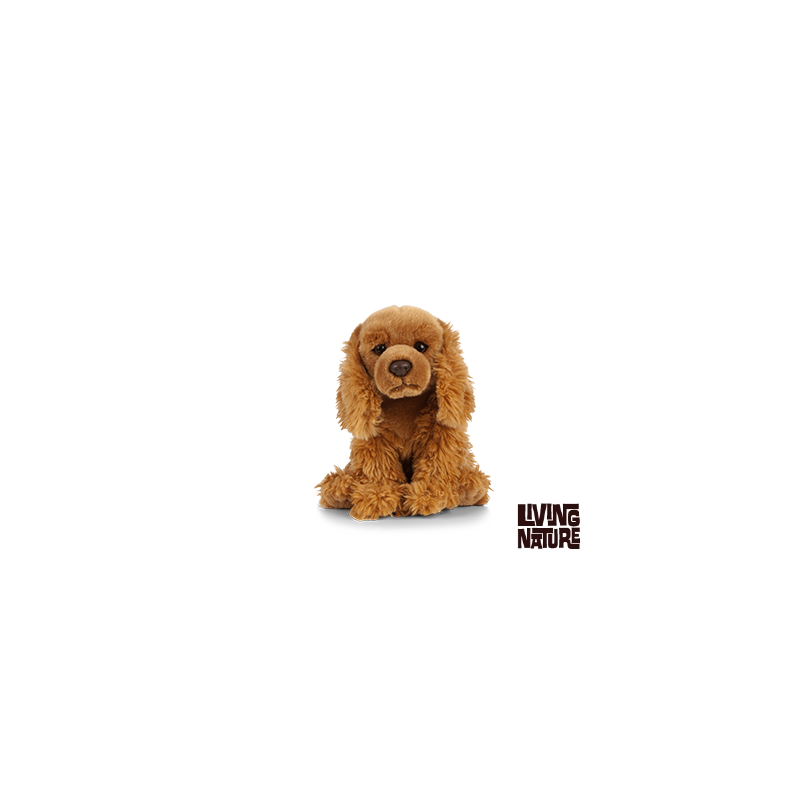 Living nature - Cocker Spaniel