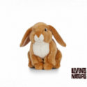 Living nature - French Lop Eared Rabbit