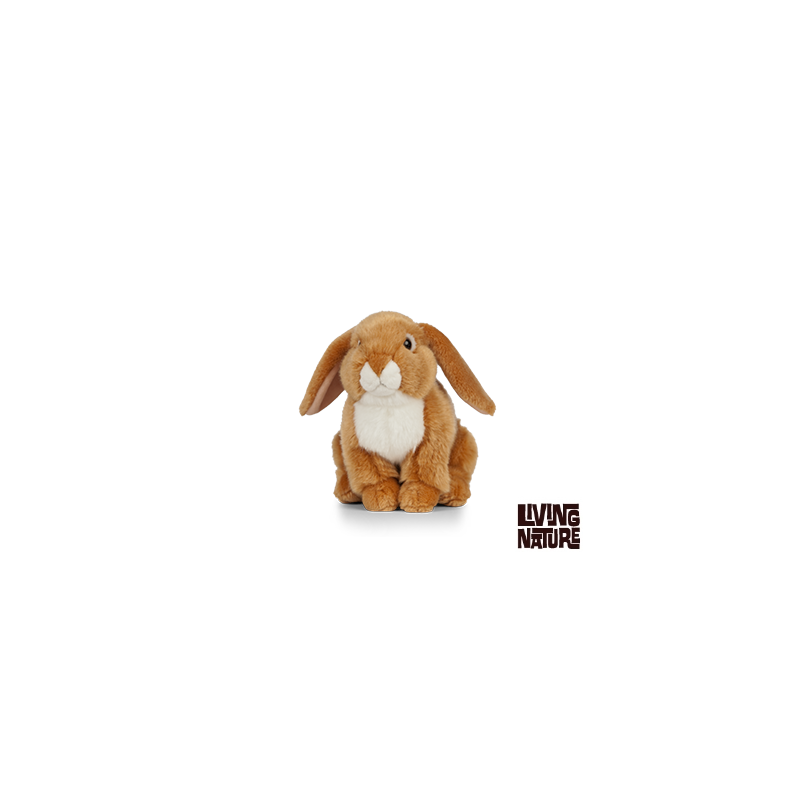 Living nature - French Lop Eared Rabbit