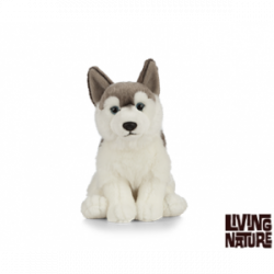 Living nature - Husky