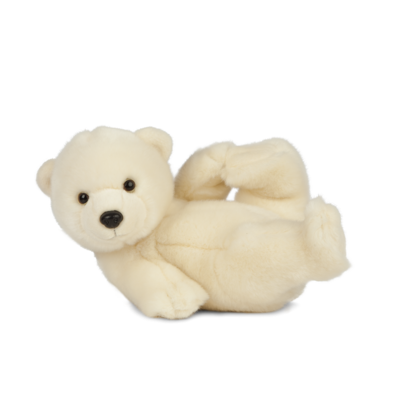 Living nature - Polar Bear Cub Playing