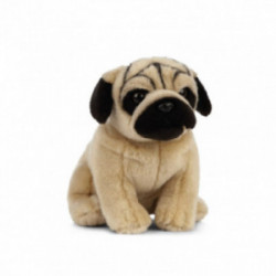 Living nature - Pug