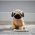 Living nature - Pug