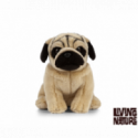 Living nature - Pug