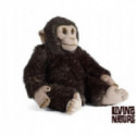 Living nature - Chimp