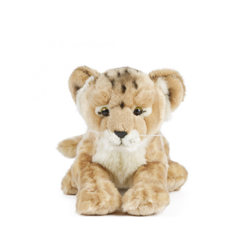 Living nature - Lion Cub