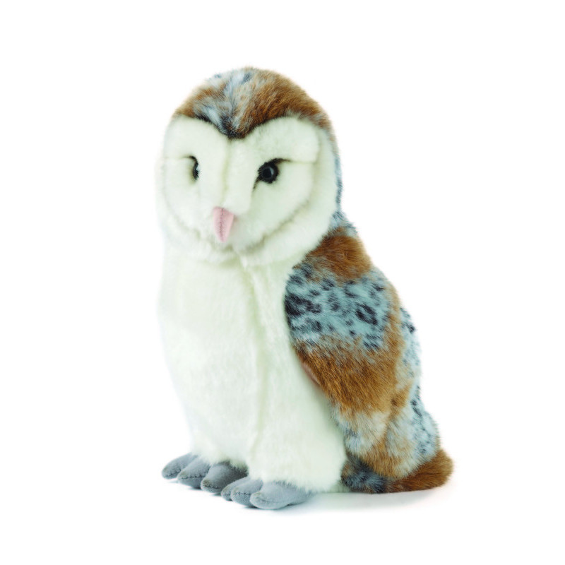 Living nature - Barn Owl Large