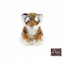 Living nature - Tiger Sitting