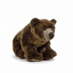 Living nature - Brown Bear Large