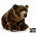 Living nature - Brown Bear Large