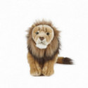 Living nature - Male Lion Large
