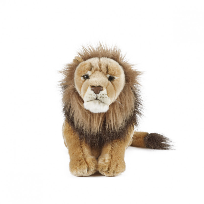 Living nature - Male Lion Large