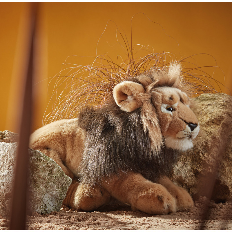 Living nature - Male Lion Large