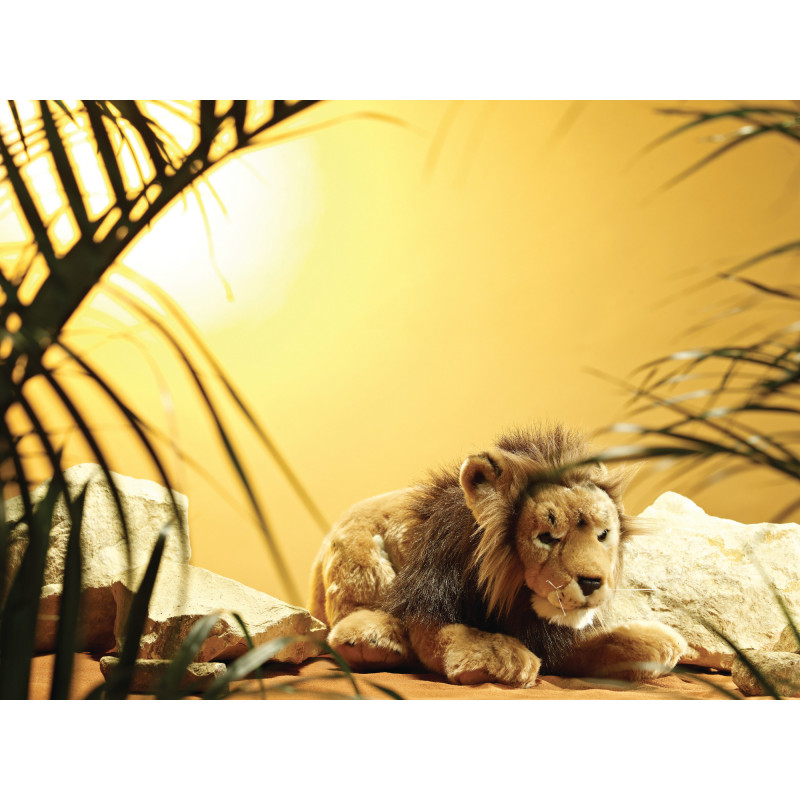 Living nature - Male Lion Large