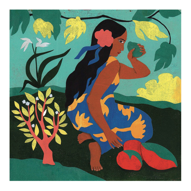 Djeco - Polynesia
