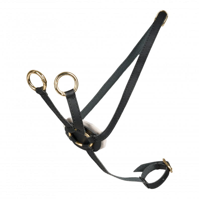 Cheval Roi - martingal till käpphäst, svart