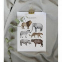 Fashionell - Poster - In the Savannah, 40x50 cm