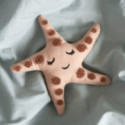 Roommate - Skallra, STAR FISH