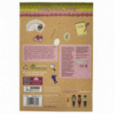 Lottie - Dress Up Party Multipack of 3 Outfits