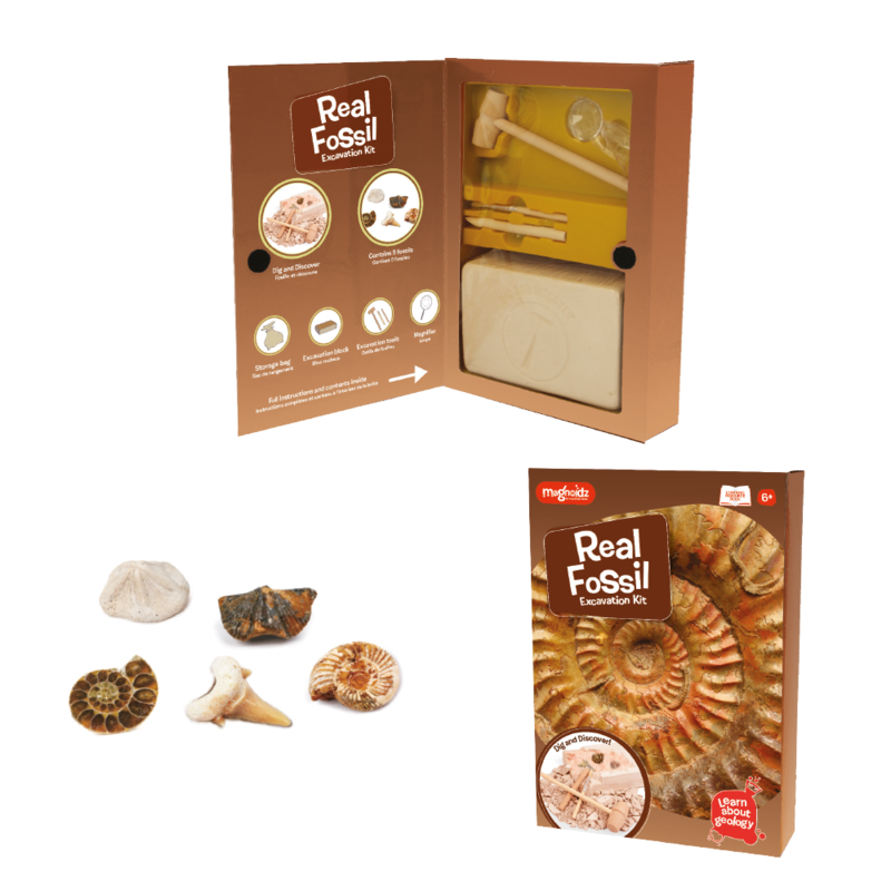 Keycraft - Fossil Dig Kit