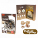 Keycraft - Break Your Own Geodes Kit