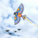 Djeco - Kite: Maxi Bird