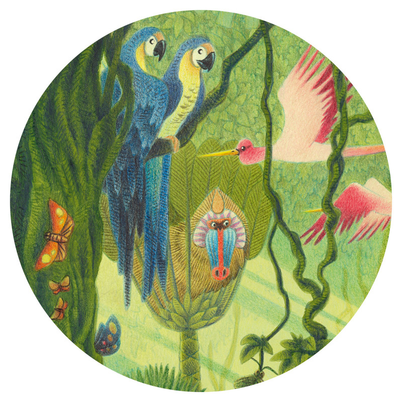 Djeco - In the Jungle, 54 pcs