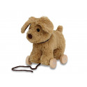 "Dexter Dog Pull Along"