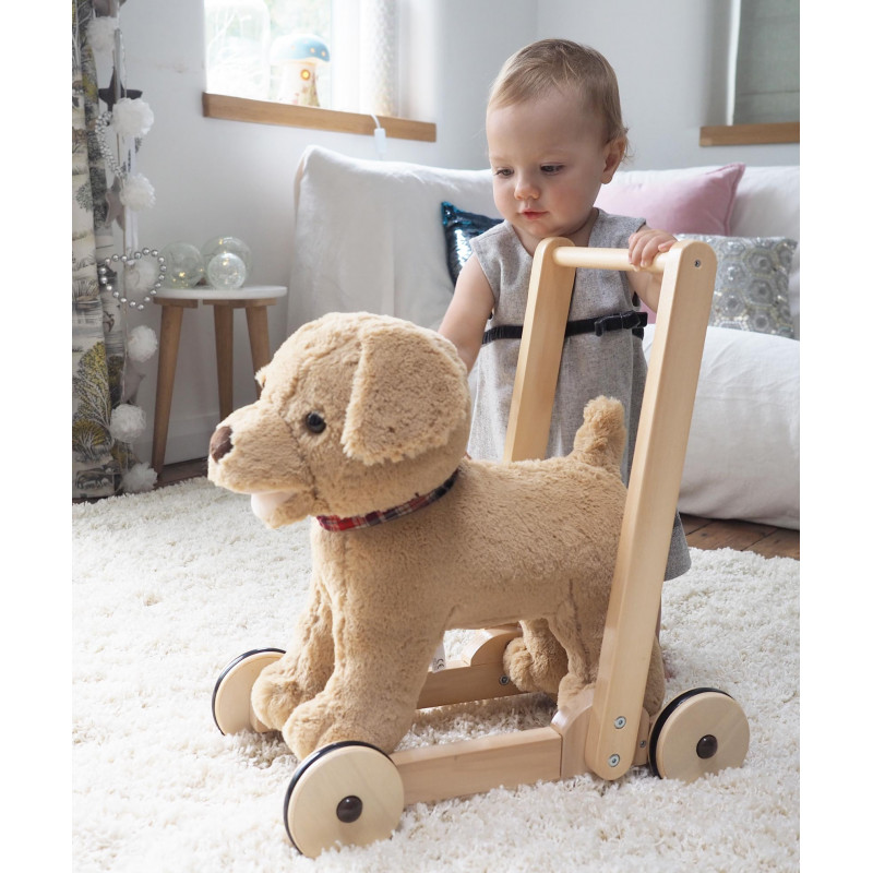 "Dexter Dog Push Along"